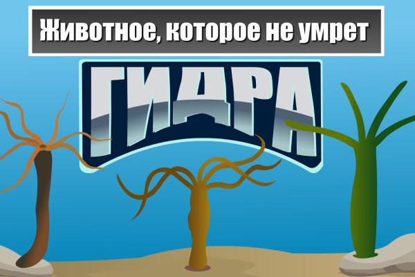 Обмен ссылками мега тг